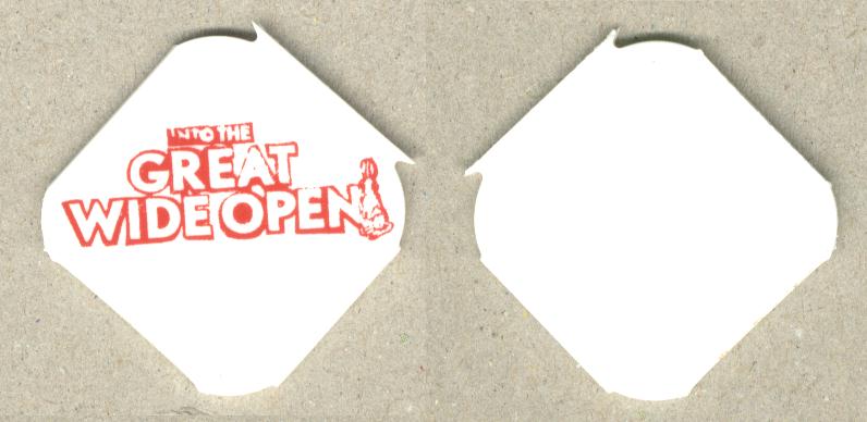 Great Wide Open Vlieland music festival party 